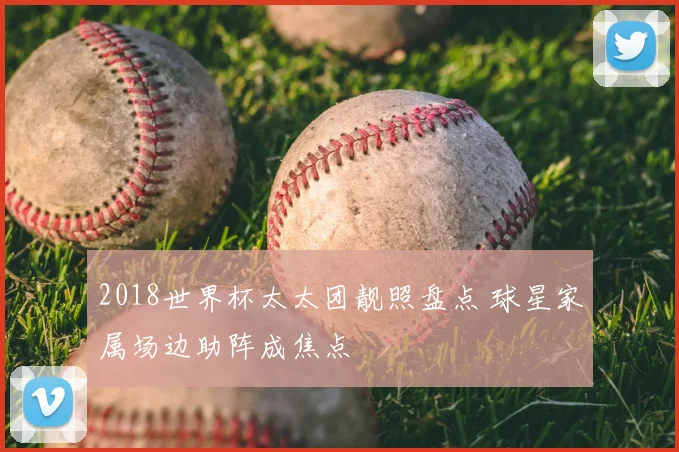 2018世界杯太太团靓照盘点 球星家属场边助阵成焦点