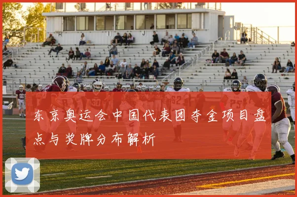 东京奥运会中国代表团夺金项目盘点与奖牌分布解析